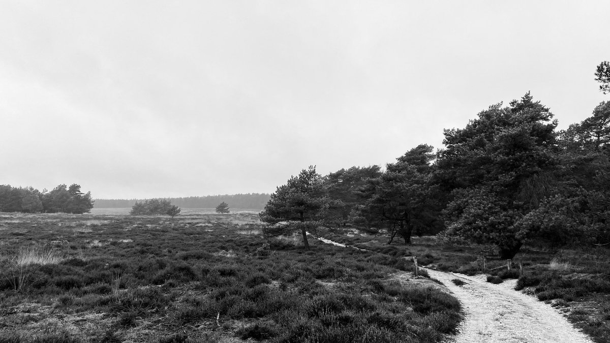 Maarten Veldhuis 💬 tweet media