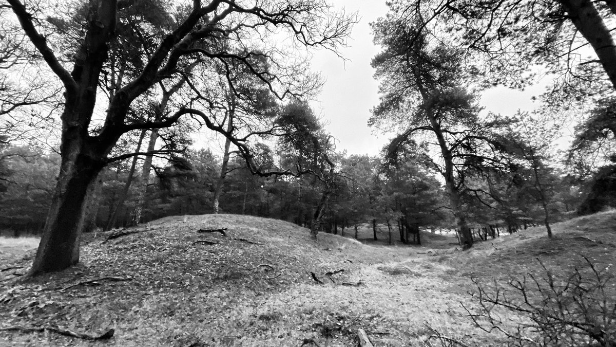 Maarten Veldhuis 💬 tweet media