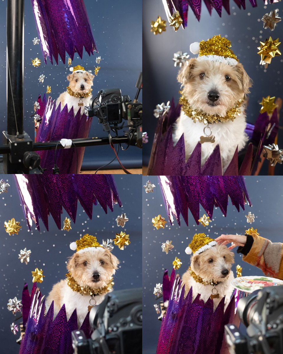 Seasons greetings!

Have a cracker of a Christmas and best wishes for 2022

instagram.com/p/CXrC6KIsl73/