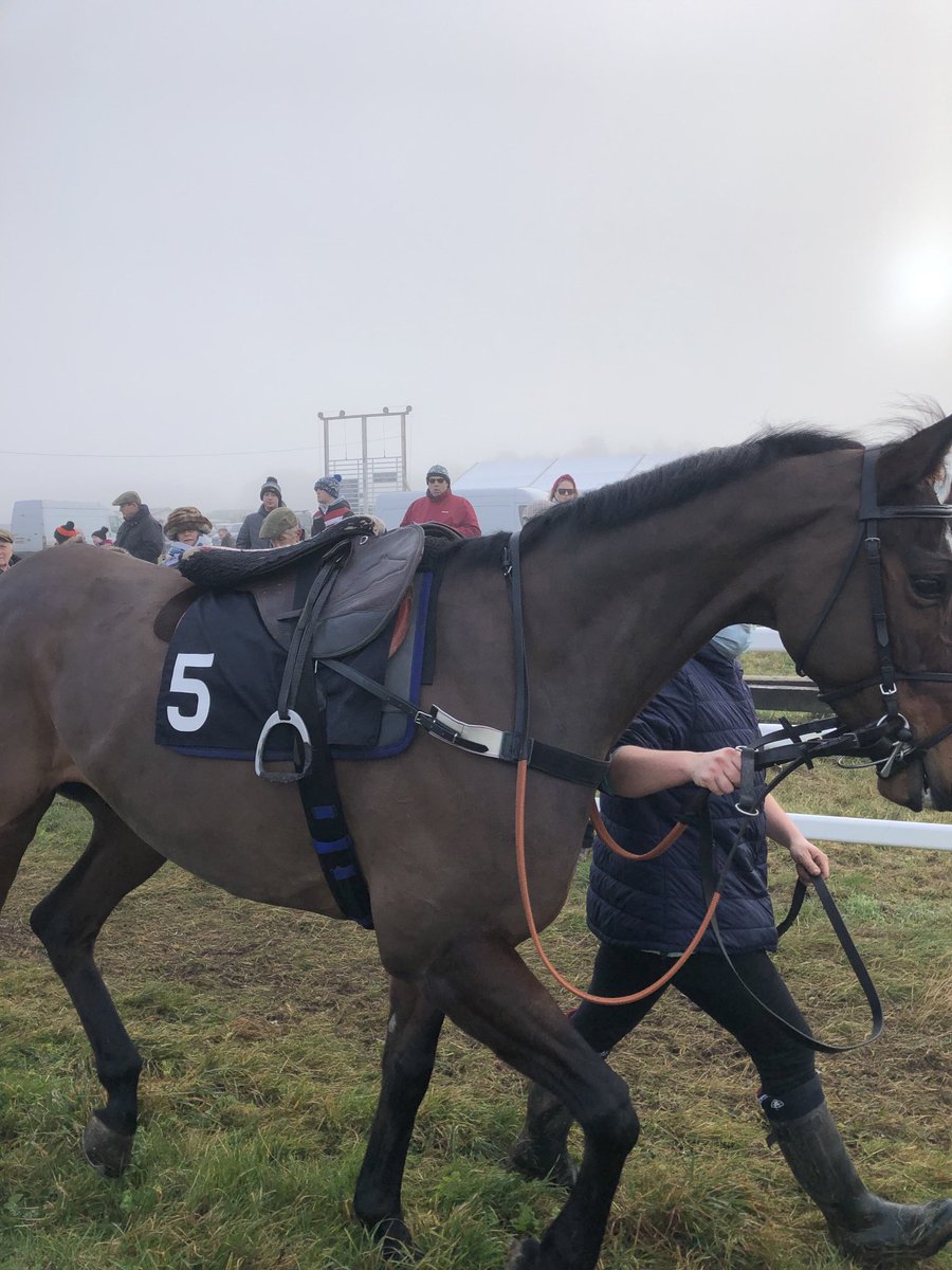 Great to get No Risk At Lou out on the track as a 4yr old ⁦@AvonValeRaces⁩ ⁦@PointingDC⁩ however⁦⁩ was slightly foggy convinced he ran a credible 5th for ⁦@LodgeStables⁩ ⁦@Firehouse2016⁩ congrats ⁦@k_woollacott⁩ with progress of young guns.