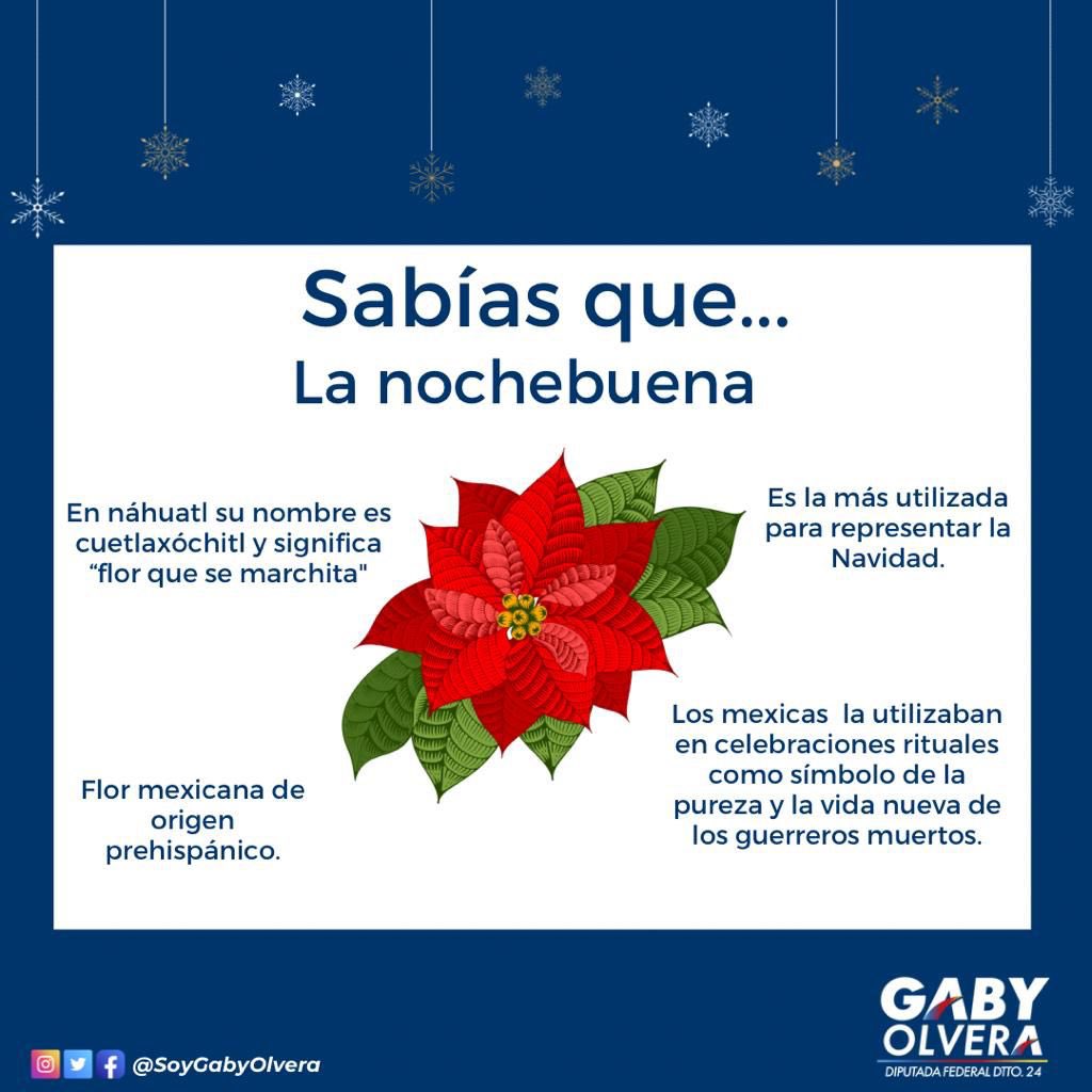 Gaby Olvera on Twitter: 