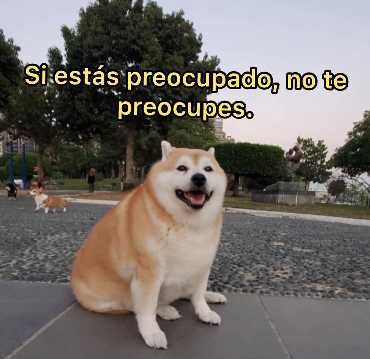 perritos_qctd's tweet photo. Suaves consejos https://t.co/TzT5cDzPmN