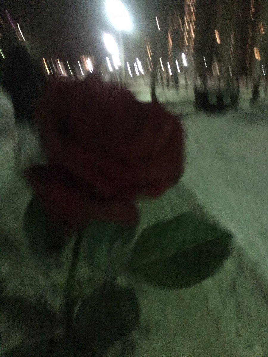 fnck__you's tweet photo. Мне на работе рандомный чел подарил розу, аргументируя это тем, что (цитата) «Она так же неприступно-прекрасна, как и вы!»
Ну ясен хуй, как я. Именно поэтому она через день и СДОХЛА БЛЯТЬ https://t.co/rGrCnnZMVW