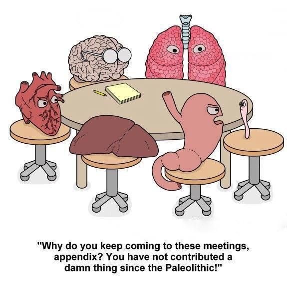 Death stranding. шутки про анатомию человека. No one needs to know шанайя твейн. Keeping you coming. Summer coming soon.