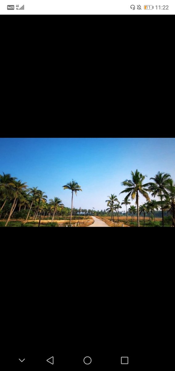 jawane_ram's tweet photo. If you truly love nature, you will find beauty everywhere. https://t.co/Pp41HkBCBC