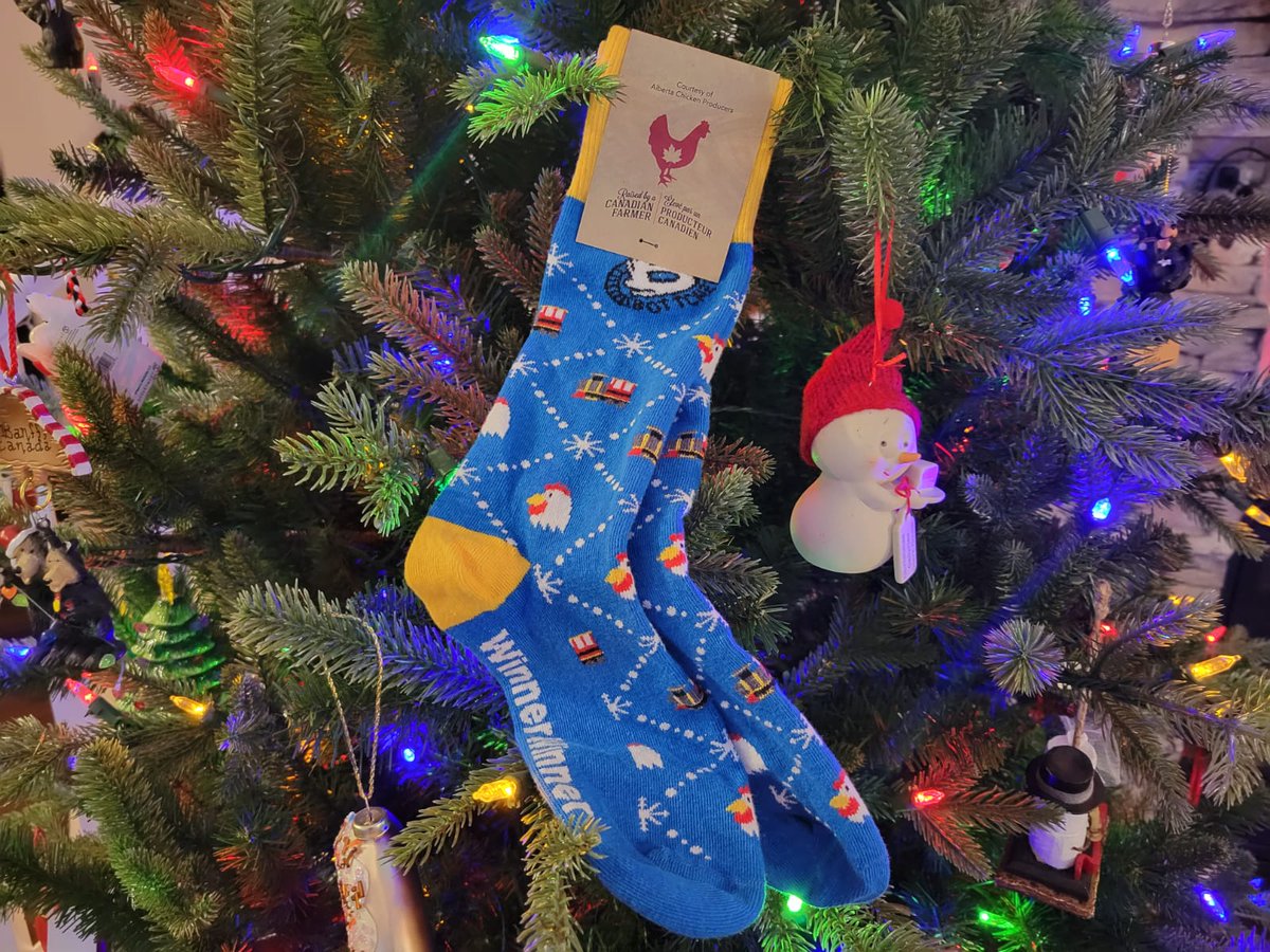 🎄🎅 Holiday Giveaway 🎅🎄

Our amazing fre-hens @AlbertaChicken have given us a pair of LIMITED EDITION socks 🐓🚂🧦 to giveaway. 

TO ENTER: 

-Retweet THIS tweet
-Follow us so we can DM

We'll draw a random winner-winner chicken dinner  Dec 24, 2021 @ noon.