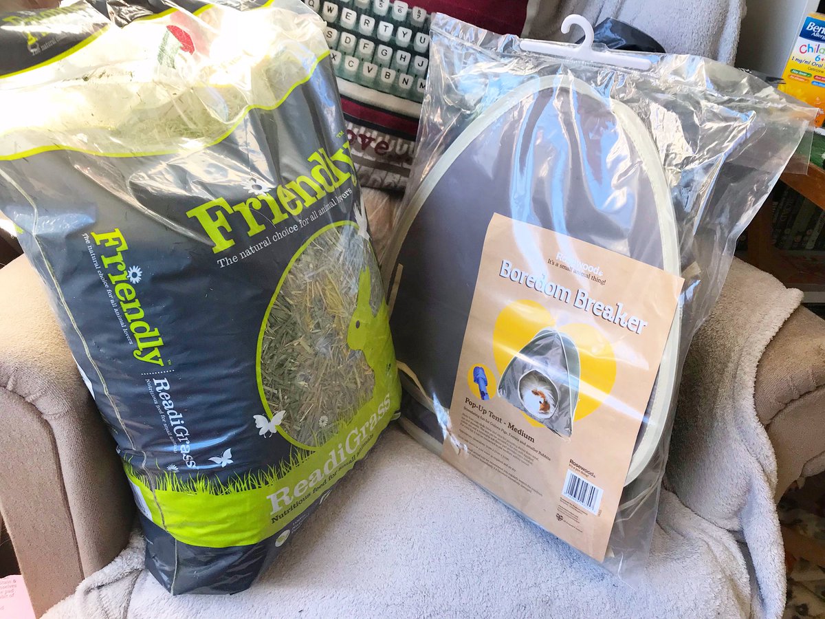 LadyChessington's tweet photo. Did a quick shop at @Jollyestweets for 2 bags of Readigrass… then I saw this pop up tent 😍😍 #HadToHave https://t.co/9zfbe4h9xG
