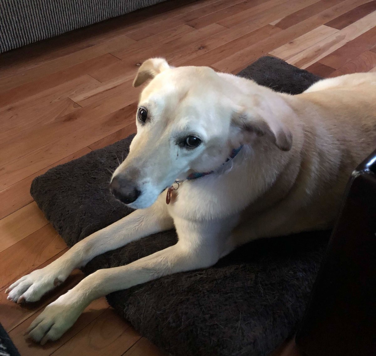 Sign up to my mailing list and get a FREE Xmas song arrangement of O Come, O Come, Emmanuel in a Bossa Nova style!!! jeffreyweeksharrison.com