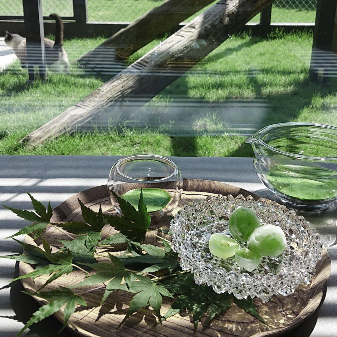 Matchaeologist's tweet photo. ๐ฟ Healthy habits start with a cup of #Matcha! Tag a fellow #MatchaMate who needs to see this beautiful #MatchaRitual ๐ต captured by @ mvege_ | @ Matchaeologist_jp featuring our Glass #Katakuchi Matcha-Making Bowl and Cloud Glass Chawan. ๐ https://t.co/ZQhUSwPrYU https://t.co/5detL3MGoc