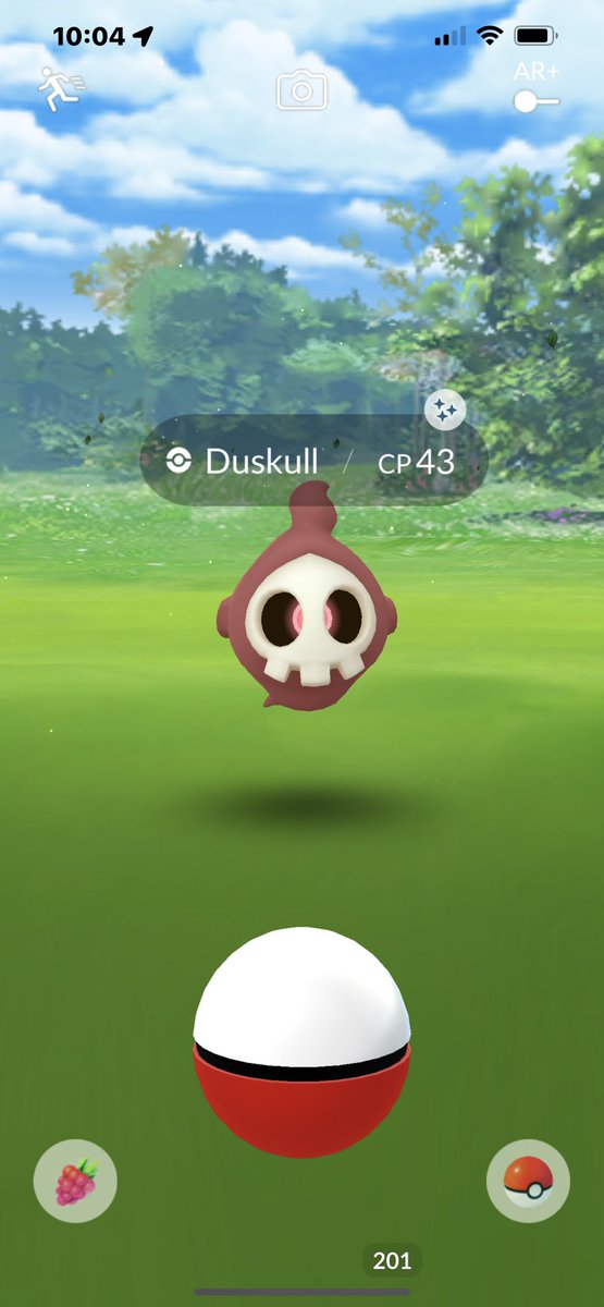 DamJoe08's tweet image. Another shiny @Shinytracker. #Duskull

27.286867,-80.307783