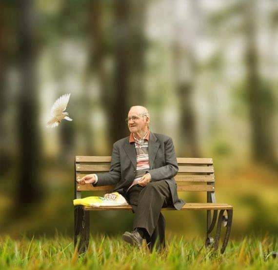 "Umut harabe bir ev gibi görünsede;
Allah bazen içten onarır ki 
kimsenin ruhu dahi duymaz."

#AhiAratoğlu