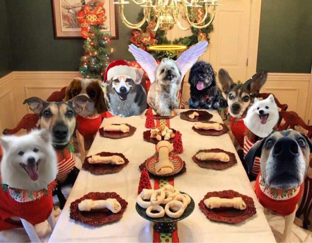 ❣️❤️Merlin& Archie 😇@AngelMocha12🇨🇦🌹Me tweet media