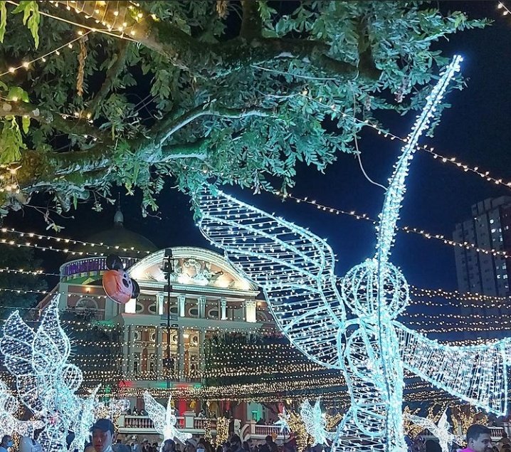 heyjude_na's tweet photo. A decoração da minha cidade se superou esse ano , sério que coisa linda https://t.co/jF0At2nqVp