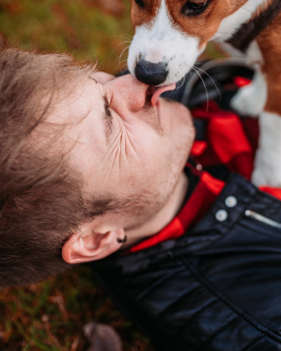 Emery_Meyer's tweet photo. Kevin the corgi https://t.co/YiSzoFFK6Y