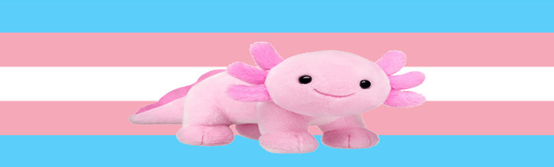 build a bear axolotl with pride flags (used as twitter banners) thread! (kinda like my stick figure pride flags) (sorry that they're all uneven im not good at making them even lol) please send me suggestions either in dms or in the replies! #pride #Pride2021
