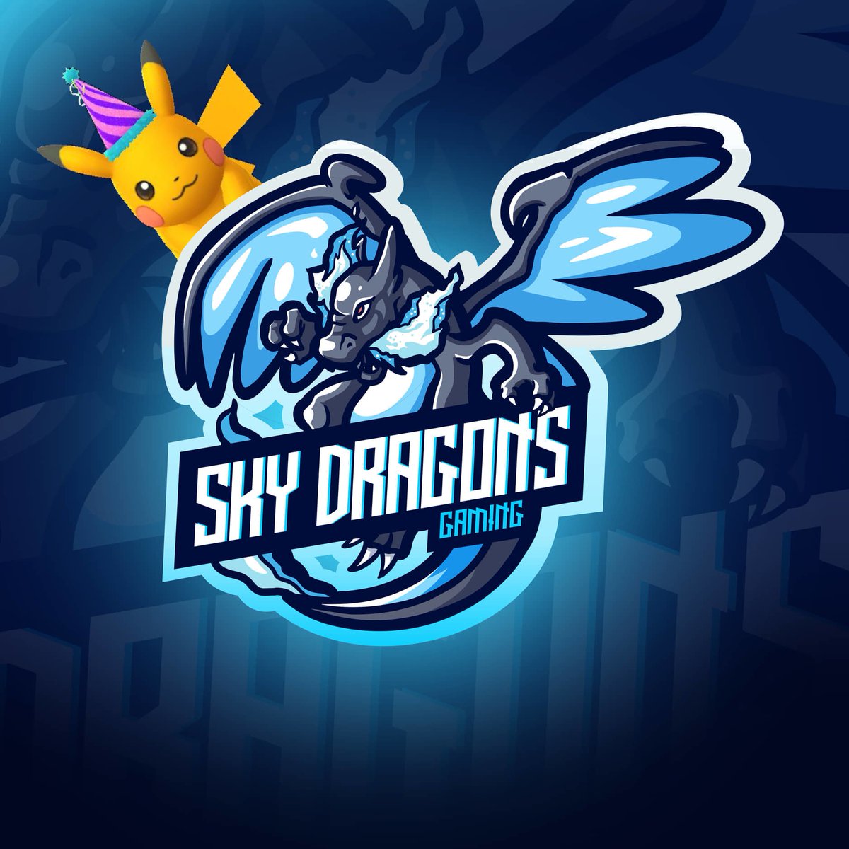Sky Dragons Gaming was founded exactly a year ago. It was the beginning of a great journey and hopefully it will last a long time 🥳💙#GoSDG