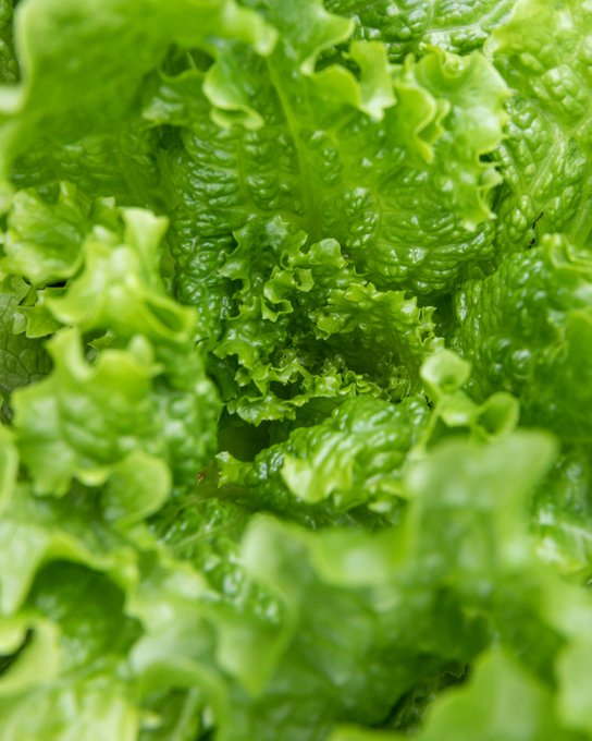 Edgar Núñez, recibe a Gabi en su famoso restaurante Sud 777. Ahí conversan sobre sus proyectos gastronómicos, y Edgar nos da varios tips sobre el pescado. Manu Nna esta vez nos ayuda a encontrar algunos ingredientes para poder hacer este singular platillo.
sptfy.com/chefentucocina…