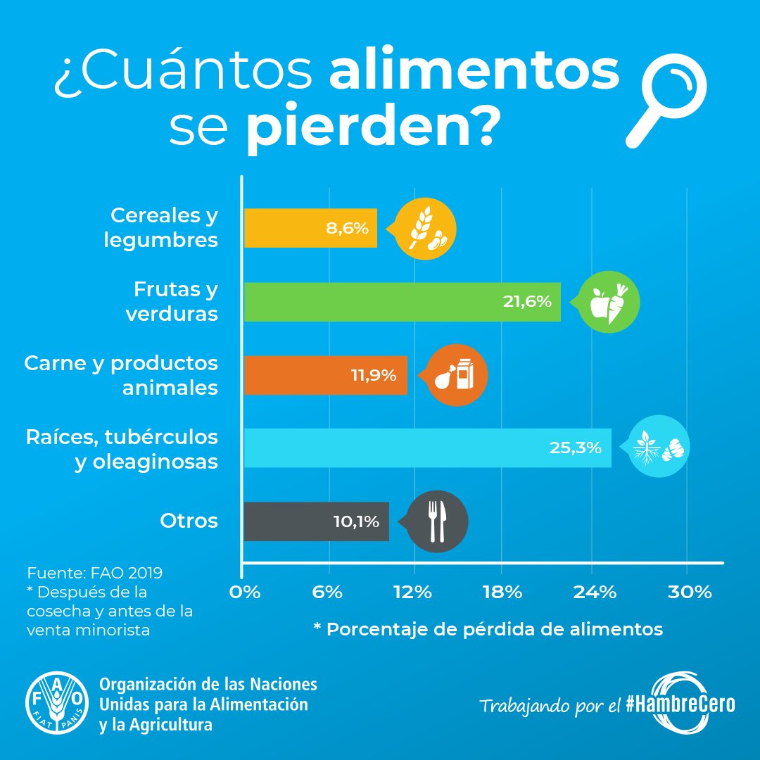 FAOMesoamerica's tweet photo. ¿Sabes cuántos alimentos se pierden?
Reducir la pérdida y el #DesperdicioDeAlimentos es fundamental y tú puedes ayudar a conseguirlo.
#NoCompresDeMás
#DesperdicioCero
#NoTiresComida https://t.co/PeySEQ3TAm