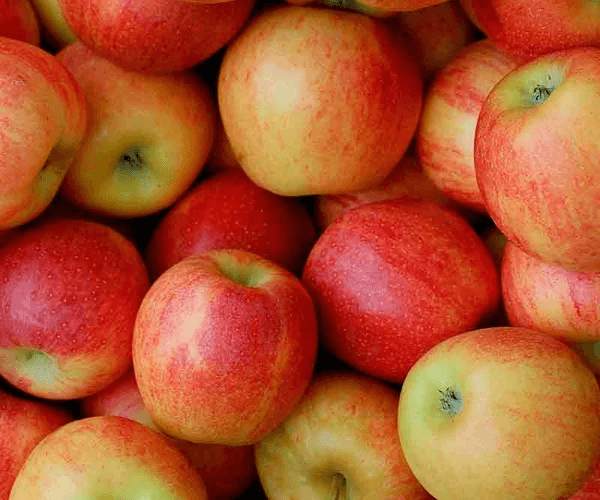 Gabi y Sofía se reúnen para cocinar un delicioso postre. Sofía explica cómo llegó al lado dulce de la gastronomía y se emociona hablando de su otra pasión: el fútbol. Manu Nna, disfruta esta receta y aprende varias cosas sobre repostería francesa. 
sptfy.com/chefentucocina…