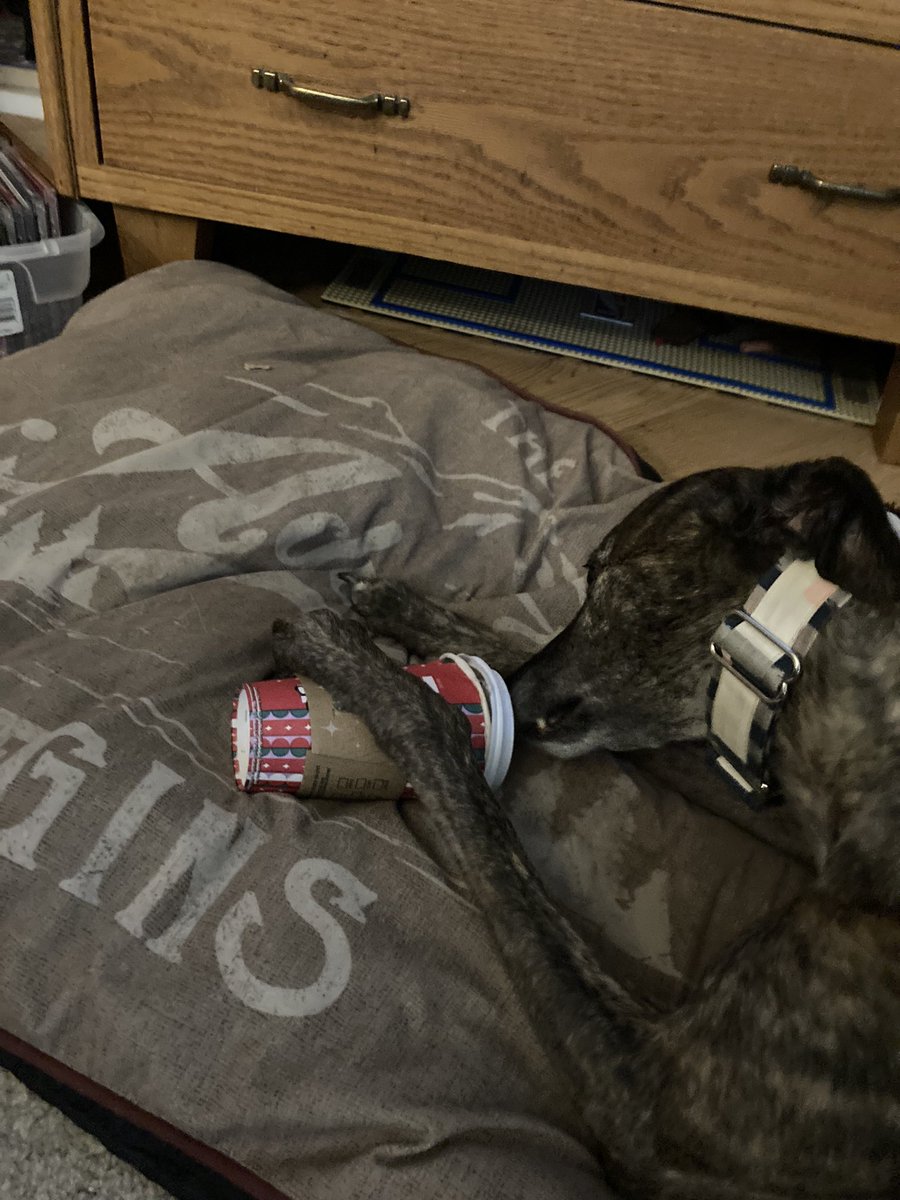 riverwoodsdeck's tweet photo. When your girl says she needs Starbucks… https://t.co/7oUbKtnz45