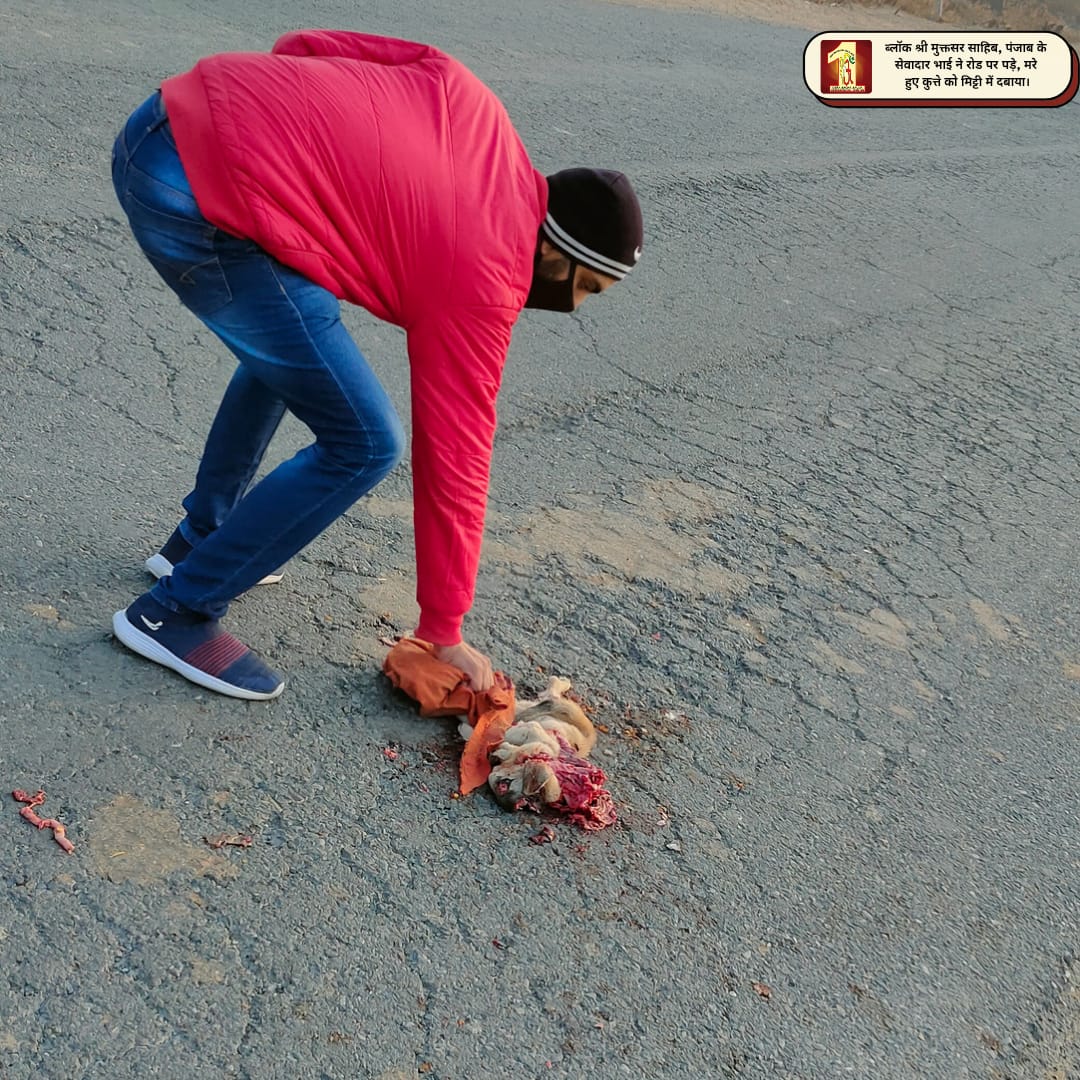 DSSNewsUpdates's tweet photo. SAFETY FROM ROAD ACCIDENT AND ANIMAL WELFARE | DERA SACHA SAUDA VOLUNTEERS | BLOCK : SHRI MUKTSAR, PUNJAB
#135WelfareWorks #135humanitarianworks #welfare #DeraSachaSauda #dss #AnimalWelfare #roadsafety https://t.co/k7zmnToihi