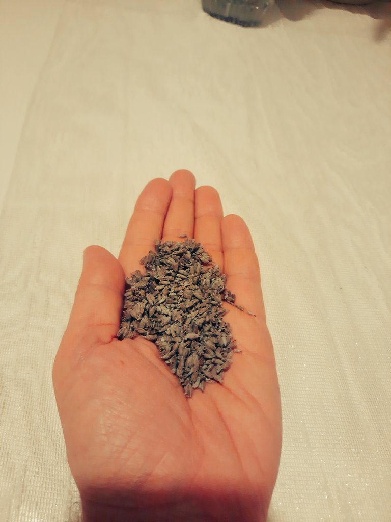 #SAÇ DÖKÜLMESİ ni durdurmak istiyorsanız elimdeki kadar bir #LAVANTA'yı kullanabilirsiniz....

Uygulaması👇

Kaynayan 4 bardak suyun içine 1-1,5 yemek kaşığı lavantayı atarak 5 dk kaynatın.
5 dk sonra sonra ocağı kapatıp ılımasını bekleyip ılıkken süzün.
Sonra
+