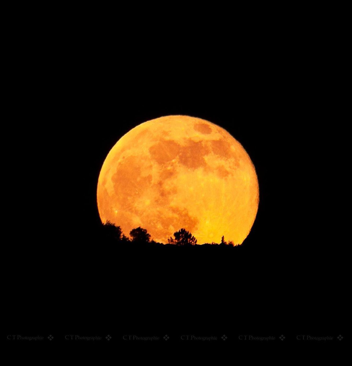 🌕🔭 19/12/2021 a 19h50 : Le lever de la superbe #pleinelune ce soir, dimanche 19 décembre 2021, depuis #Nice - #SaintRomanDeBellet(06) vue vers le #MontChauve(06) ! 😍

 📲 Merci à <a href="/Ct_photographie/">CT Photographie 📸</a> pour ce partage. #CotedAzurFrance #Nice06 #AlpesMaritimes