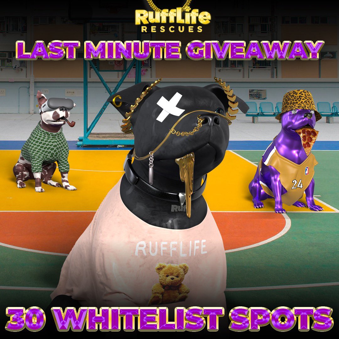 RuffLifeNFT's tweet photo. Last minute whitelist giveaway!!! 🎈 

Did you miss your chance to get whitelisted &amp; you still want to mint today? Well the time is now, you don’t want to miss out! 

To enter: 

✅ RT this post
✅ Follow @RuffLifeNFT

Let’s spread the word family 🚀 https://t.co/bEsq4Dnnzc