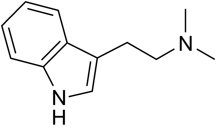 CyberFractal_'s tweet photo. [ TW Drogue ] 

Le N,N-dimethyltryptamine. 

⚠️ Disclaimer : Le DMT est classé parmi les substances stupéfiantes, à ce titre, sa possession, sa vente et sa consommation sont interdits par la lois en France. 

Ce thread existe en guise d'info / RdR. https://t.co/qa263YVtf5