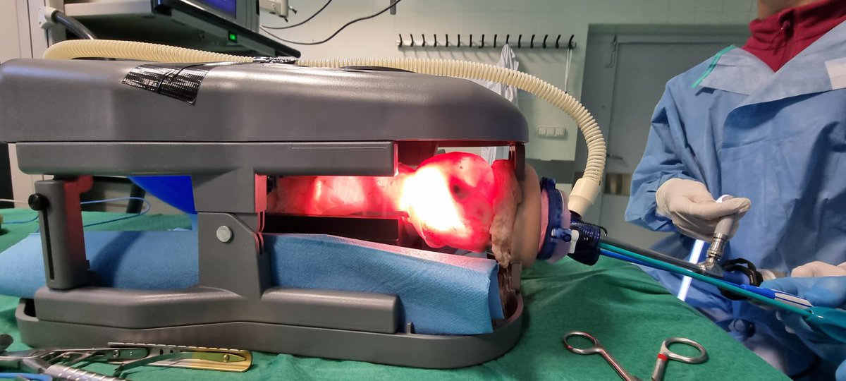 cpastorid's tweet image. Primer curso de Cirugia @TAMIS organizado por @AppliedMed_CRS en Madrid, excelentes los alumnos y profesores! Gracias una vez más a la @UAM_Madrid Medicina por la acogida! @AECP_FAECP @CirujanosMad @aecirujanos