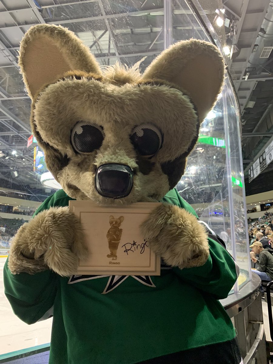 bae7609's tweet photo. Ringoโs birthday! #texasstars #iloveRingo #myRingo #birthdayboy @TXStarsRingo https://t.co/tK189lRjwx