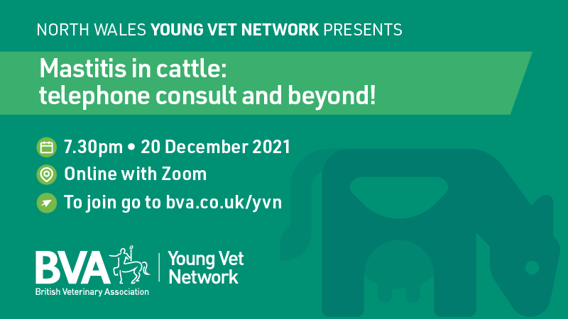 BritishVets's tweet photo. Calling all early-career vets for our last #YVN #CPD event of 2021! Join BVA North Wales #YoungVetNetwork and guest Mo Kemp for a virtual webinar on mastitis in cattle. Taking place tomorrow at 7.30pm- register via https://t.co/R8iIQKNa67 https://t.co/ECKwLMYmx8