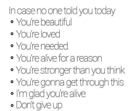 tiger-tom73 (@tom73tiger) on Twitter photo 