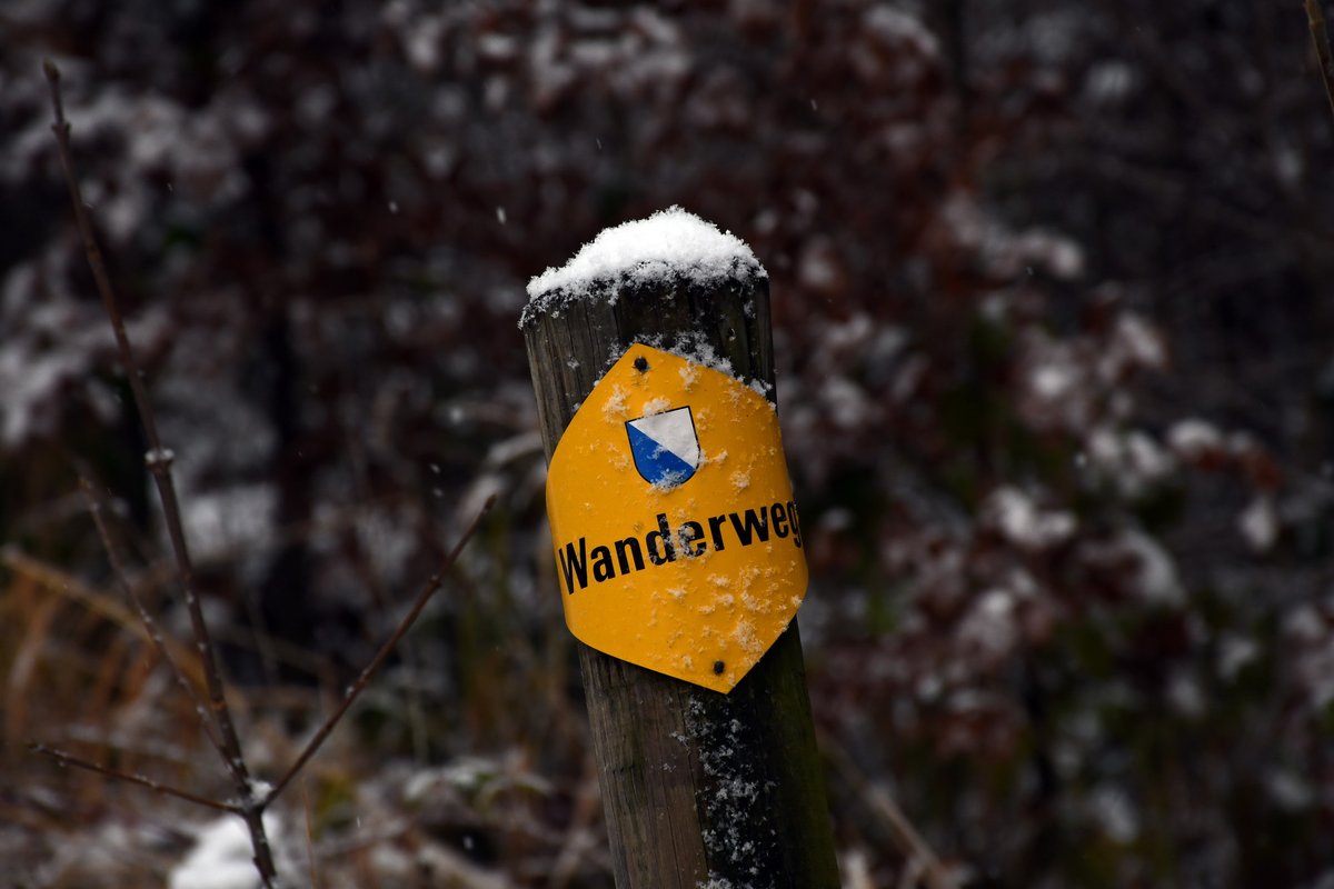 gurgeh's tweet photo. Snowy hills and tracks are signs that hiking season is back to lower areas

Rãmismühle to Winterthur, ZH, Nov'21 https://t.co/Z5FhVymXRp
