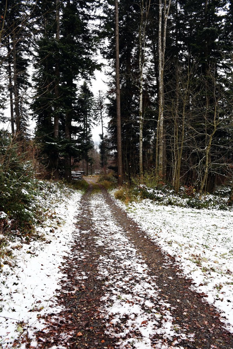 gurgeh's tweet photo. Snowy hills and tracks are signs that hiking season is back to lower areas

Rãmismühle to Winterthur, ZH, Nov'21 https://t.co/Z5FhVymXRp