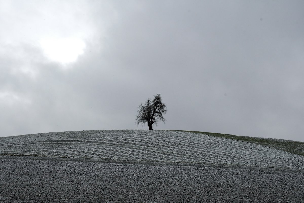 gurgeh's tweet photo. Snowy hills and tracks are signs that hiking season is back to lower areas

Rãmismühle to Winterthur, ZH, Nov'21 https://t.co/Z5FhVymXRp