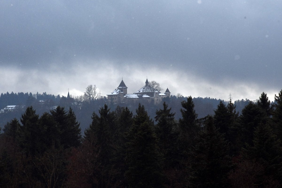 gurgeh's tweet photo. Snowy hills and tracks are signs that hiking season is back to lower areas

Rãmismühle to Winterthur, ZH, Nov'21 https://t.co/Z5FhVymXRp