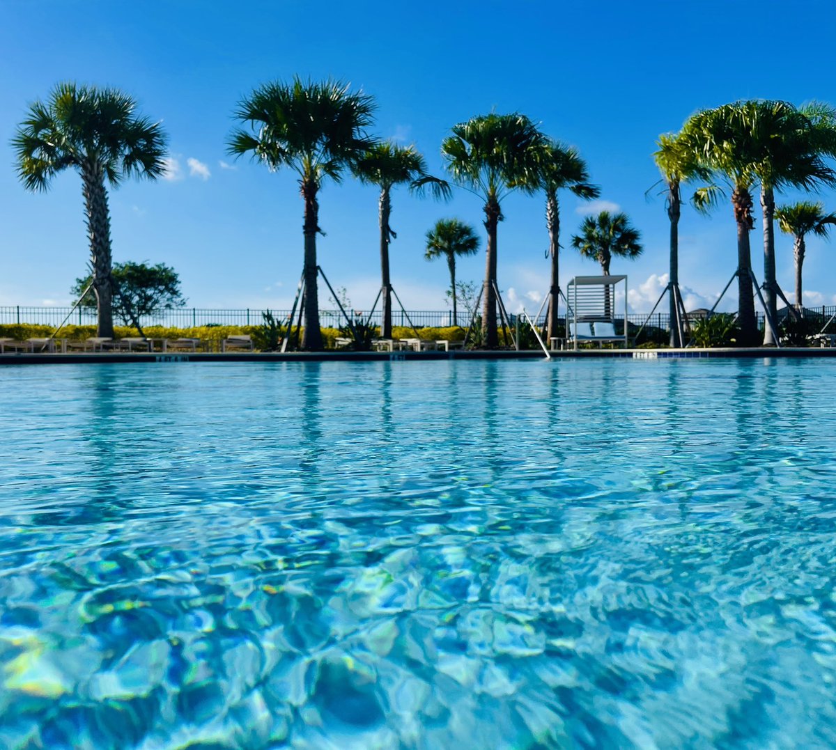 Jason_T_McC's tweet photo. 6 days till Christmas, 83 degrees! And this is exactly why we love living in Florida!! βοΈ π΄ #FloLiving https://t.co/3LGnZL8Vqa