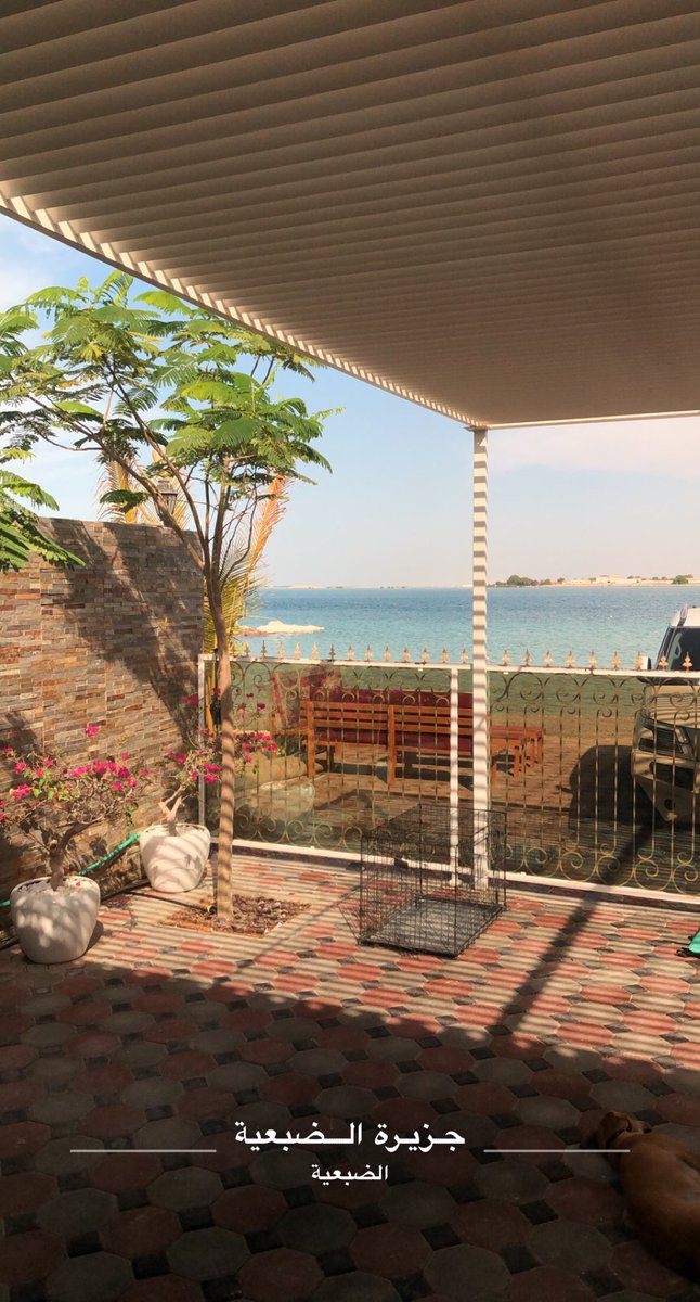 ضمني عن برد الشتاء وخلني
اغفى مابين حضنك وبينك💛.#الضبعية #بوظبي