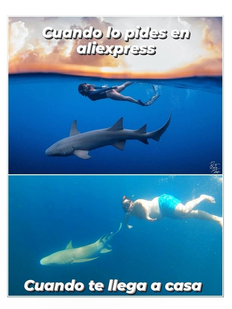 ChanqueteDavid's tweet photo. *CUANDO LO PIDES EN ALIEXPRESS...CUANDO TE LLEGA A CASA*

#meme #underwater #AliExpress #aqualung #beyondtheexpected #scubadiver #scubadive https://t.co/9q4TLZTY1z