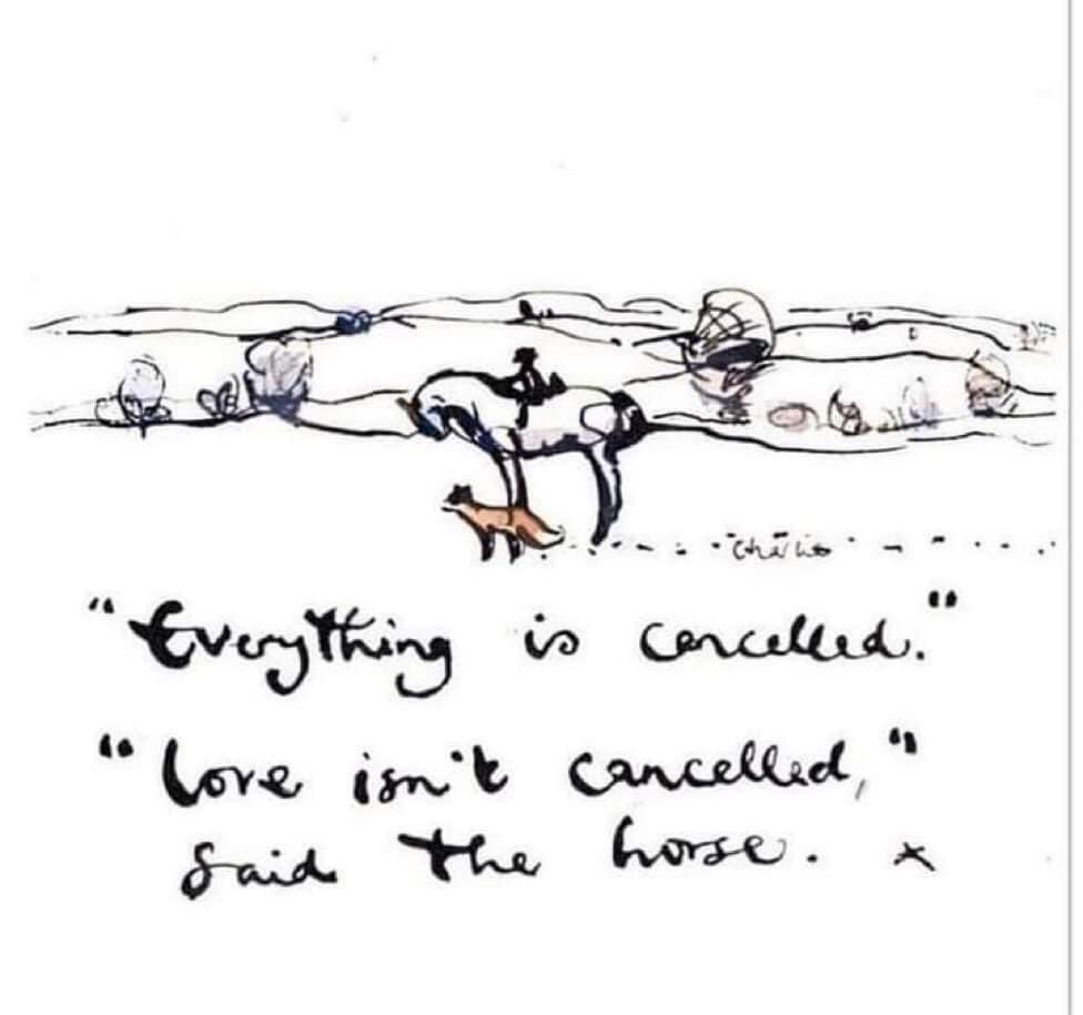 Henk Heideveld tweet media