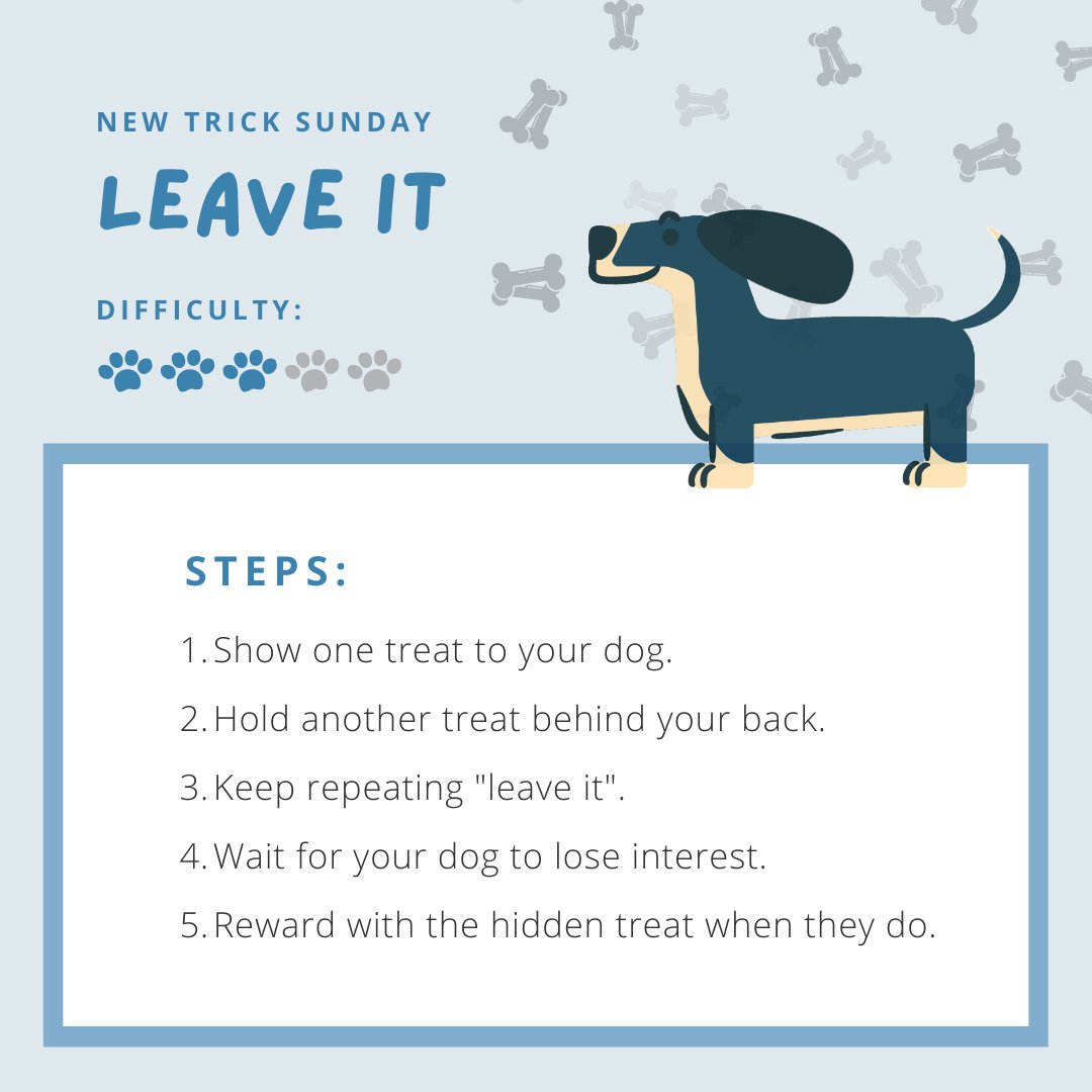 ThePetsPeople_'s tweet image. This is a great command for going on walks. The curious creatures they are, dogs can sometimes get into things they shouldn’t — this is where “leave it” comes very handy. 😉

#DogTraining #DogTricks #DogCommands