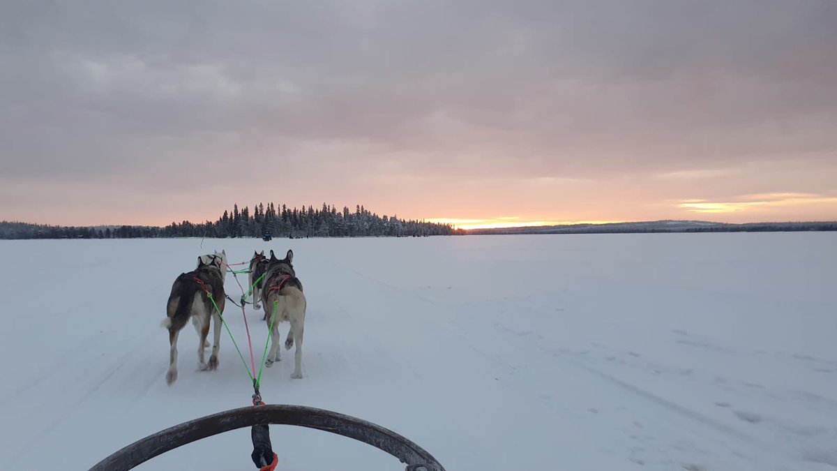Mary_Dolan1's tweet photo. A few photos from a magical few days spent in beautiful, snowy #Finland. Snowmobiling, husky sledding and the incredible scenery were all highlights! As was the #Glogi!
#Rovaniemi #Lapland #Christmas #Snowmobiling #HuskySledding https://t.co/TmACrlX20f