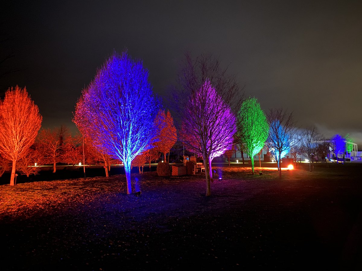 ClarePenter's tweet photo. Visited the #illuminatedarboretum at the @Nat_Mem_Arb this week. A first time visit,  it won’t be the last. Totally blown away by the beautiful and sympathetic lighting. https://t.co/PixwFQijTo