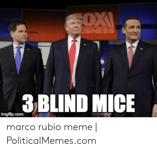 ThePurpleBauer's tweet photo. FOLLOW BACK PARTY #FBRParty 

Vet and follow everyone that Likes, RETWEETS and Comments!

We need to unite and defeat the #GOP at all levels in #Florida !

➡️Wednesday   ⬅️

#StrongerTogether #DeathSantis #RetireRon #DumpRubio #VoteBlue2022 #TurnFloridaBlue https://t.co/EN5jBMCS2X
