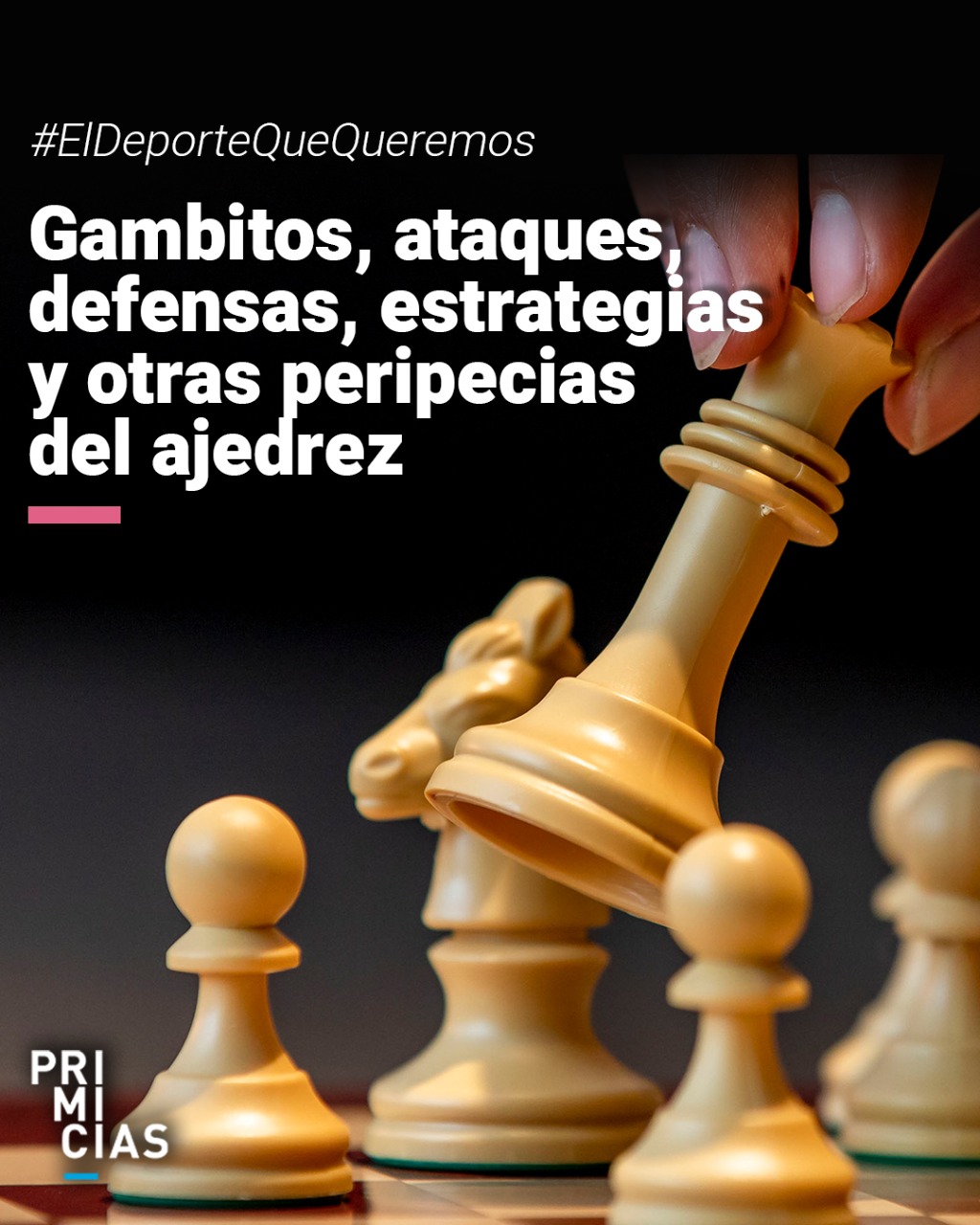 Gambitos, ataques, defensas, estrategias y otras peripecias del ajedrez