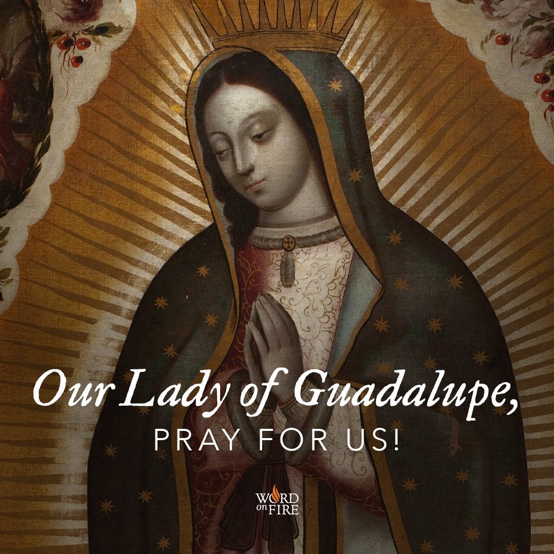 BishopBarron's tweet photo. Our Lady of Guadalupe, star of the New Evangelization, pray for us! https://t.co/YOBfH5Yy61
