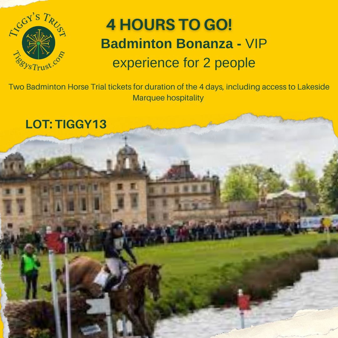 ⏱….4 Hours….⏱ let’s reach a target never imagined #turncheltenhamyellow Bid before it’s too late 🚁🛻✋🏌️ <a href="/IJF_official/">Injured Jockeys Fund</a> <a href="/CheltenhamRaces/">CheltenhamRacecourse</a> 
tiggystrust.com/auction closes 8pm THIS evening ⏰