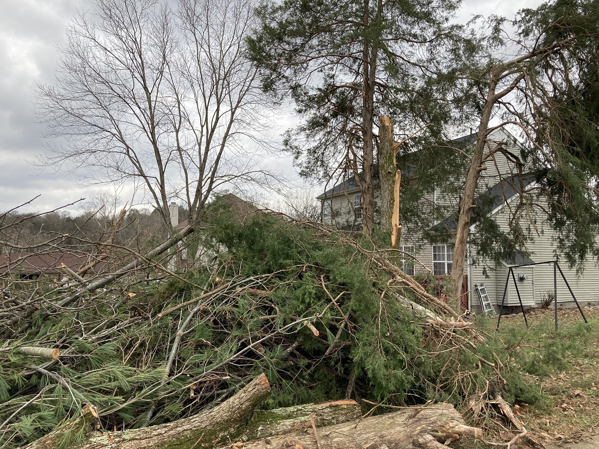 RedCrossTN's tweet photo. If you were displaced by the severe weather, please call the Red Cross at 1-800-RED CROSS. https://t.co/zZUH23ZfEM