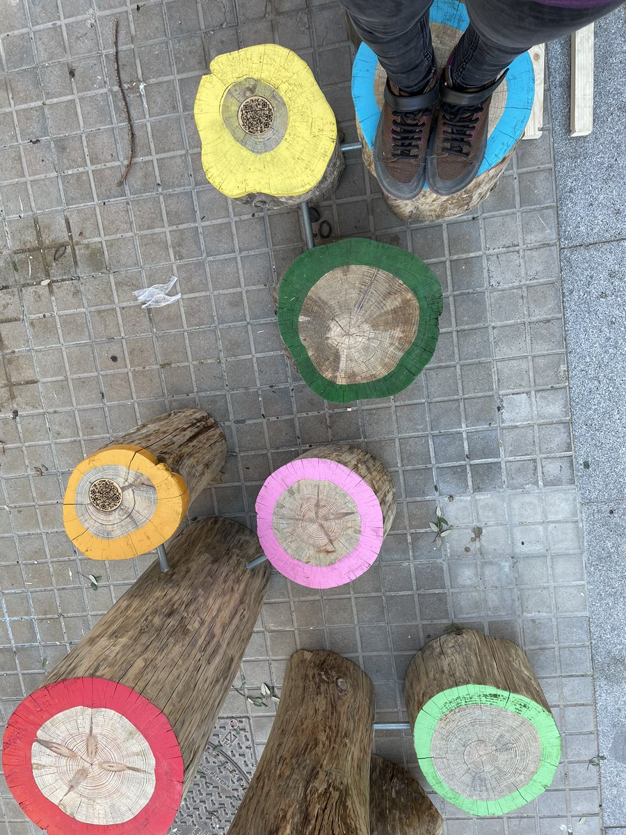 Lia Segarra Homar tweet media